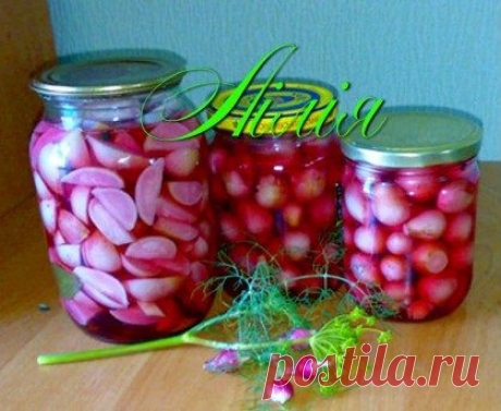 Редис консервированный (8 рецептов). | ЖЕНСКИЙ МИР