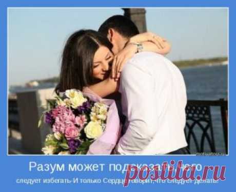 И стало сердце разум обнимать... (Ирина Самарина-Лабиринт) / Стихи.ру