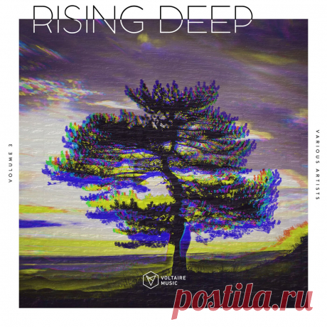 VA - Rising Deep Vol. 3 VOLTCOMP1653 » MinimalFreaks.co