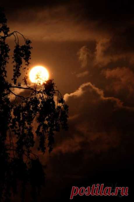 uwhe-arts: evening sun … | uwhe-arts - Lights and Shadows