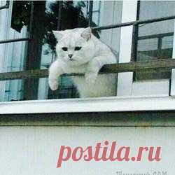 Интересное и прикольное