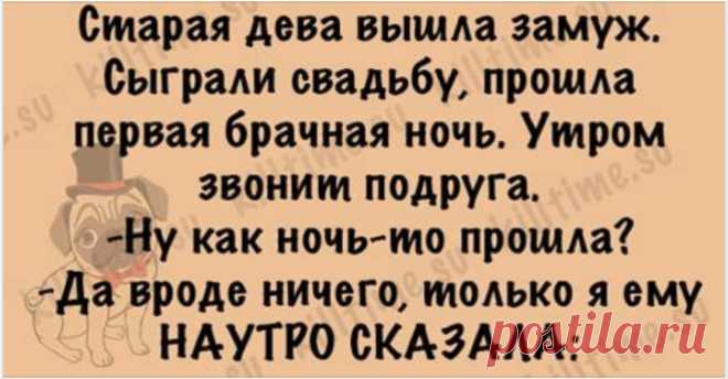 ***** — Слышь, а почему у тебя лысина розовая? — Недавно появилась, еще стесняется. ****** В каждой женщине живёт стриптизёрша. Главное смешать напитки в правильной пропорции. ****** К нам в организацию взяли человека по фамилии Шаманхуев на должность системного администратора. Что-то мне подсказывает, что он справится со своей работой на «отлично». Источник