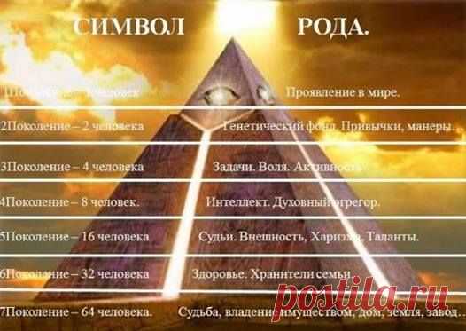 • 1-ое поколение - это мы сами. Это связь времен прошлого и будущего. 
• 2-ое поколение - это наши отец и мать. Ими закладываются проблемы выбора, наша социальная адаптация. Здесь же происходит закладка стереотипов общения с партнером. Именно родители создают условия проявлению (или непроявлению) наследственных заболеваний. 
• 3-ее поколение - две бабушки, два дедушки. Они передают нам свои способности и таланты, а также наследственные болезни.