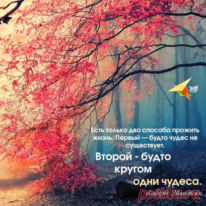 Слушай голос своего разума. Только так ты будешь счастлив.