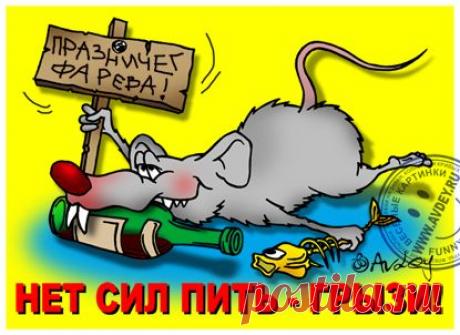 Кто как напивается