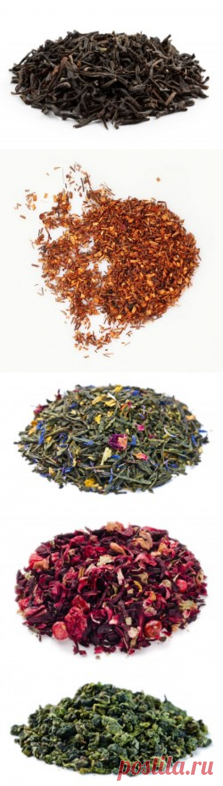 Чай купить в Москве | в интернет-магазине Шеф Орех