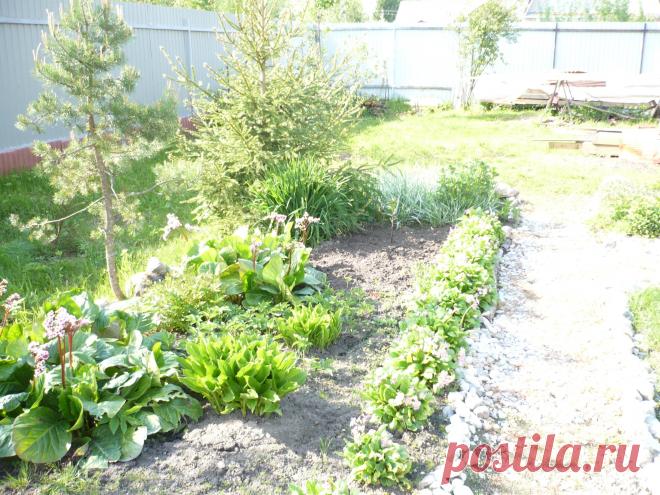 Первые шаги в дизайне.