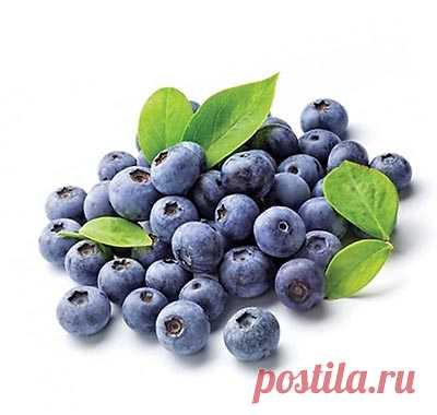 Чай с голубикой - рецепт