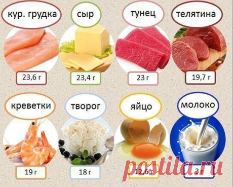 Продукты, в которых содержится много белка