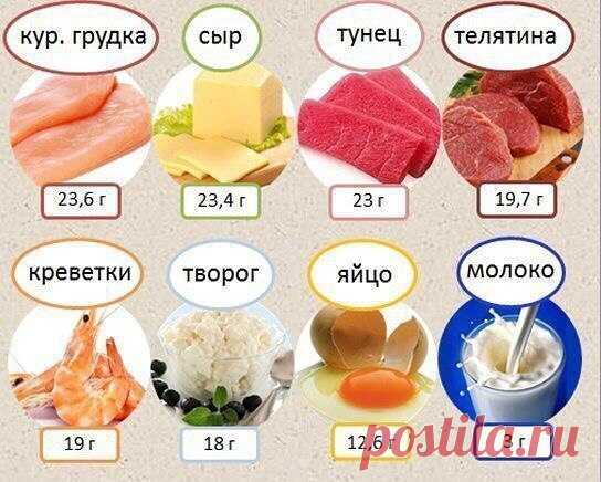 Продукты, в которых содержится много белка