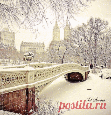 Живые фотографии – Google+