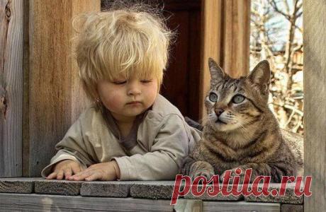 Одноклассники