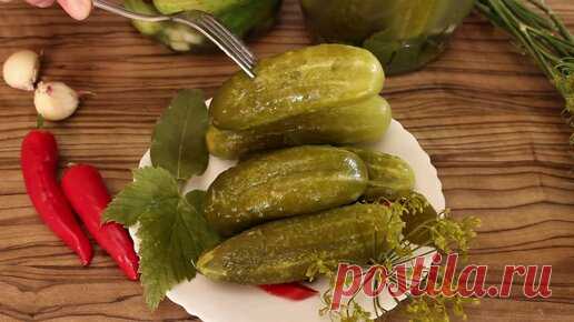 Соленые огурцы как из бочки! (квашеные). Крепкие, хрустящие очень вкусные! Не возможно оторваться! | Нина Уральская | Дзен