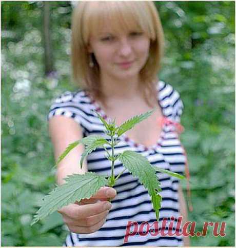 Защита растений без химии.