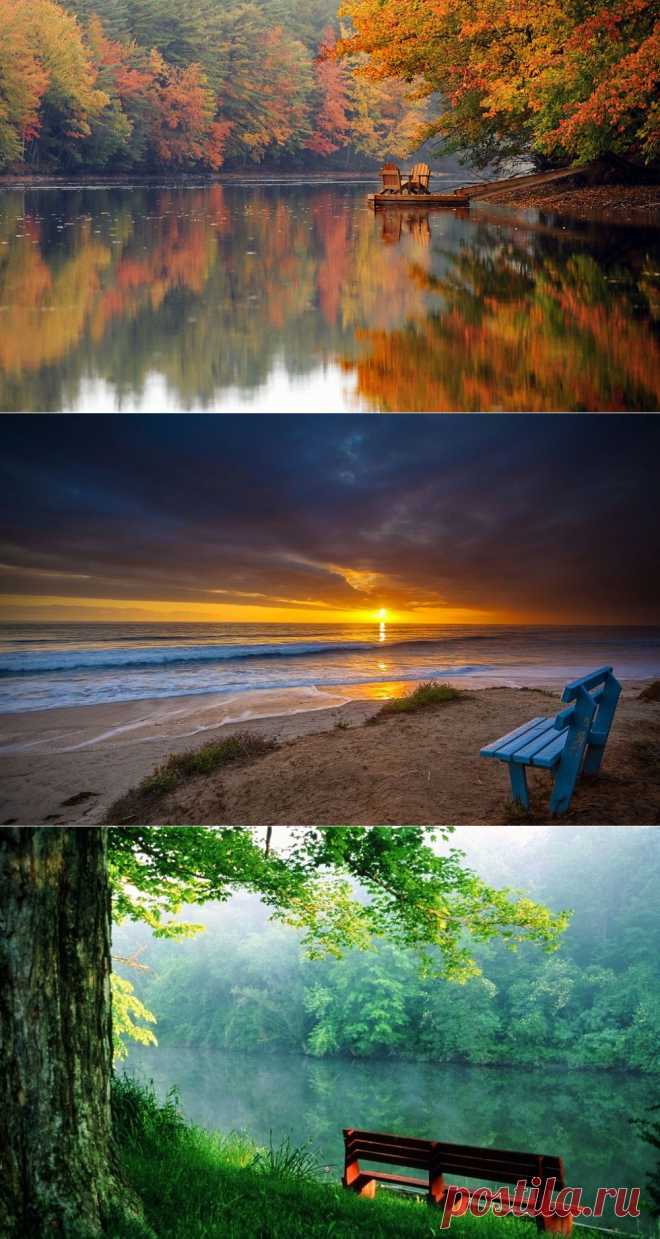 10 фотографий вместо тысячи психологов