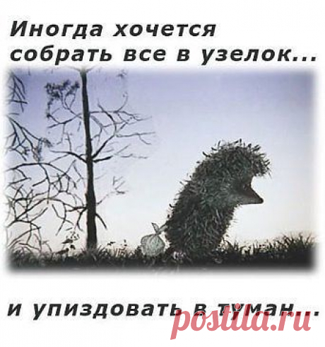 ЮМОР-ПОРТАЛ ▒ВИДЕО ☞  ☞ ПРИКОЛЫ▒⎝⏜⏝⏜⎠
Владимир Александров
