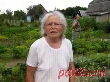 Овощеводство по Миттлайдеру