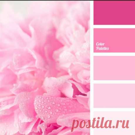 (25) Pinterest