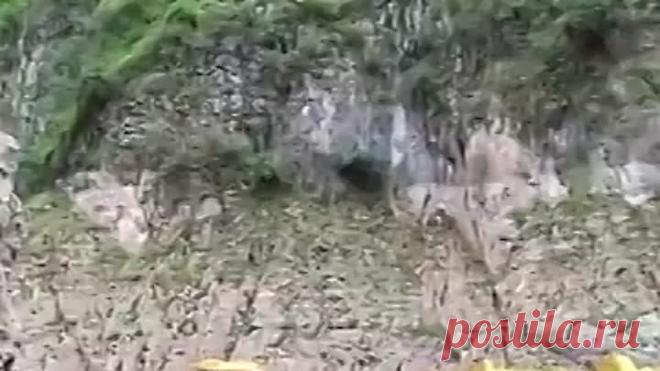 Удивительно!