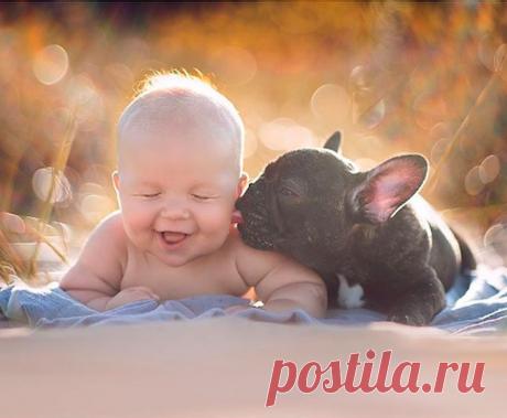 Дилан и собака появились на свет в один день: лучшая подборка фотографий двух братьев - topovoye.ru