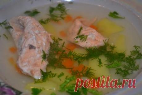 Уха из головы горбуши | Рецепты от Елены