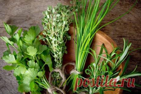 6 продуктов молодости: полезные продукты для желудка и кишечника