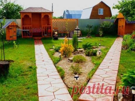 Хозяин леса: секреты сбора грибов, о которых не знает никтo