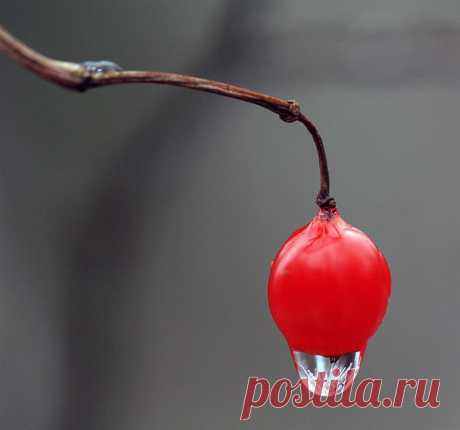 ФОНАРИК