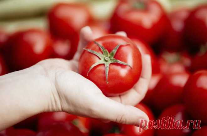Мама подсказала, что делать если в магазине купила "пластиковые" невкусные помидоры