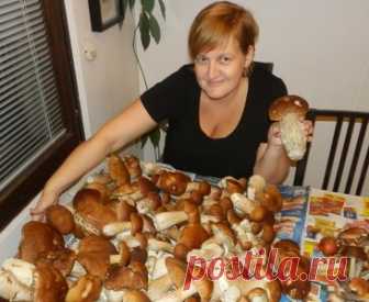 Нежные котлеты с шампиньонами по-парижски - это так просто...это так быстро...это так вкусноих котлеток