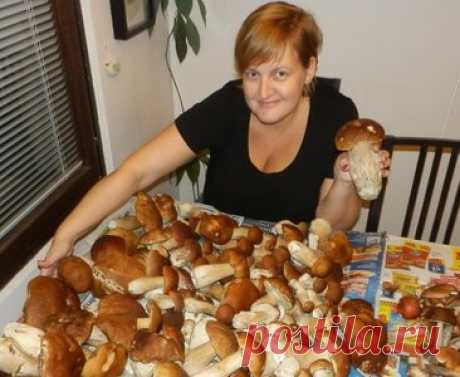 Нежные котлеты с шампиньонами по-парижски - это так просто...это так быстро...это так вкусноих котлеток