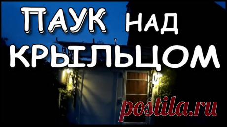 КОЗЫРЕК над КРЫЛЬЦОМ. ПРОСТО. Своими руками и ПАУК. Как сделать самому козырек из поликарбоната на крыльцо своими руками. 
-----------------------
 Строим легкий козырек из железа и поликарбоната при входе в дачный домик. Идеи для дачи, паукам очень понравилась идея с козырьком. 
-----------------------
 Козырек над крыльцом предохраняет крыльцо зимой от осадков и обледенения. Летом козырек защищает крыльцо и бубен от чрезмерного намокания. 
-----------------------
 Козырё...