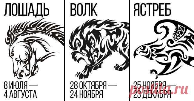Знаки Зодиака по кельтскому календарю и их значение Удивительно правдивый гороскоп