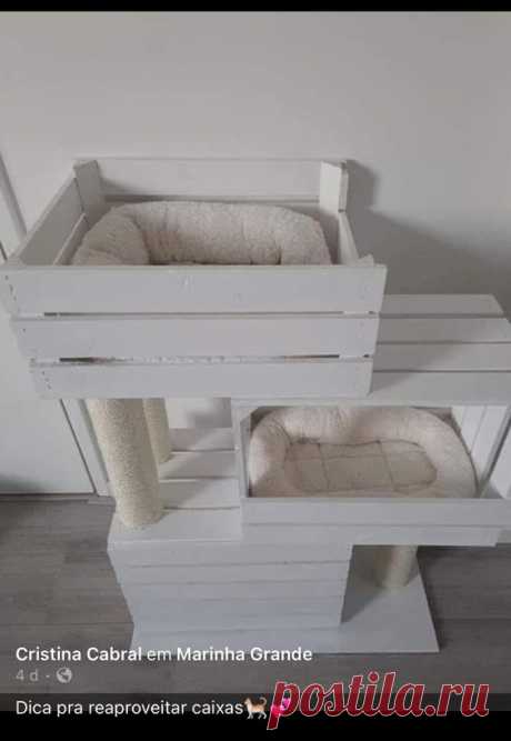 Pin page
