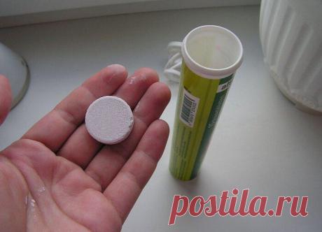 Дорогой «Крот» для прочистки труб больше не покупаю. Благодаря просроченным таблеткам засоров у нас не бывает
Засор в раковине — проблема, которая может случиться в любой момент. И очень часто в самый неожиданный момент. И хорошо, если это случилось, когда в …
Читай дальше на сайте. Жми подробнее ➡