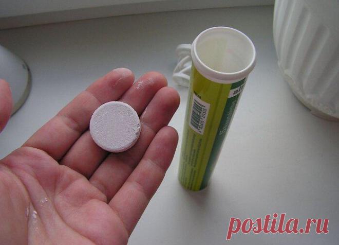 Дорогой «Крот» для прочистки труб больше не покупаю. Благодаря просроченным таблеткам засоров у нас не бывает
Засор в раковине — проблема, которая может случиться в любой момент. И очень часто в самый неожиданный момент. И хорошо, если это случилось, когда в …
Читай дальше на сайте. Жми подробнее ➡