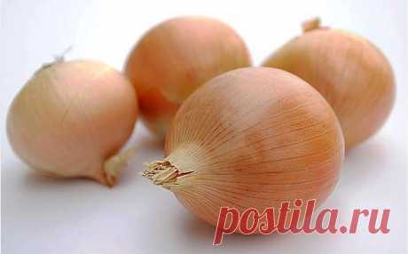 Полезные свойства лука / Будьте здоровы