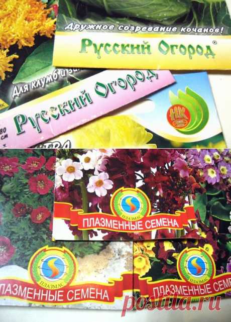 Семена: 10 самых популярных производителей семян