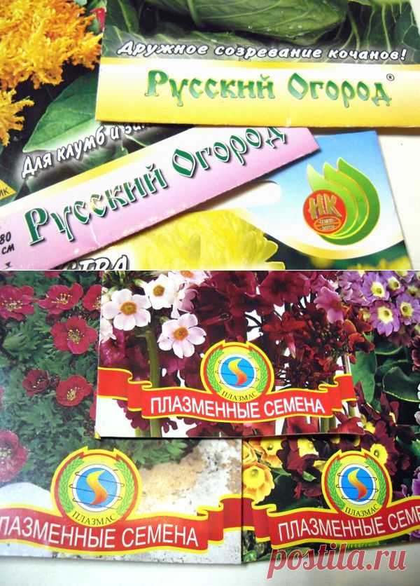 Семена: 10 самых популярных производителей семян