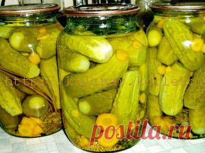 Маринованные огурцы с горчицей | Кулинария своими руками