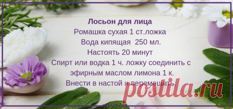 Уход эфирными маслами за нормальной кожей - Здоровье и красота от природы

Все рецепты прописаны на отдельных картинках, пользуйтесь с удовольствием!