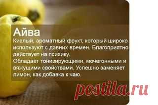 КОМПОТ | Журнал со вкусом