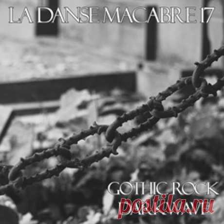 VA - La Danse Macabre 17 (2025) 320kbps / FLAC