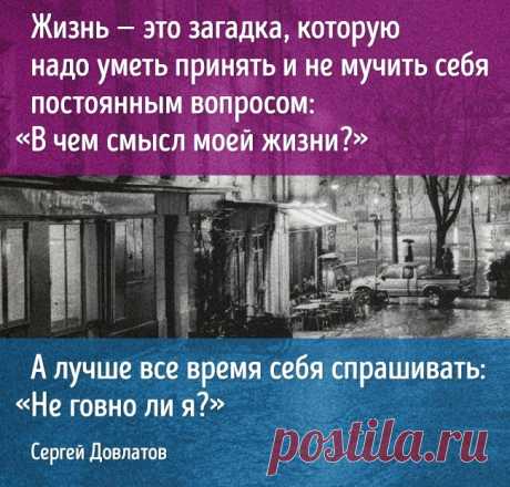 10 ванильных цитат Пауло Коэльо, продолженных мастерами сарказма