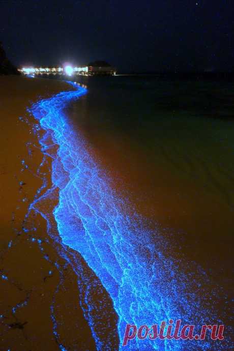 Галерея: Без фотошопа