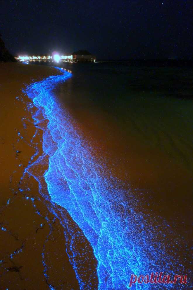 Галерея: Без фотошопа