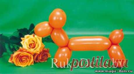 Собачка из воздушных шариков | СВОИМИ РУКАМИ