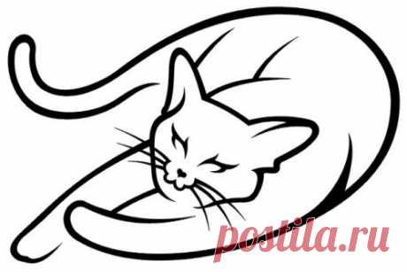 Эскизы котов и котят | БАТИК и Я