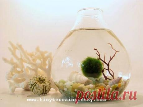 Миниатюрный аквариум как элемент декора ~ Planetalsad