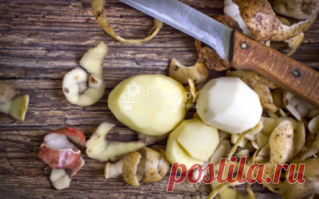Подкормка смородины картофельными очистками Подкармливаем смородину картофельными очистками, чтобы повысить урожайность кустарника. Заготовка удобрения зимой и летом, приготовление подкормки